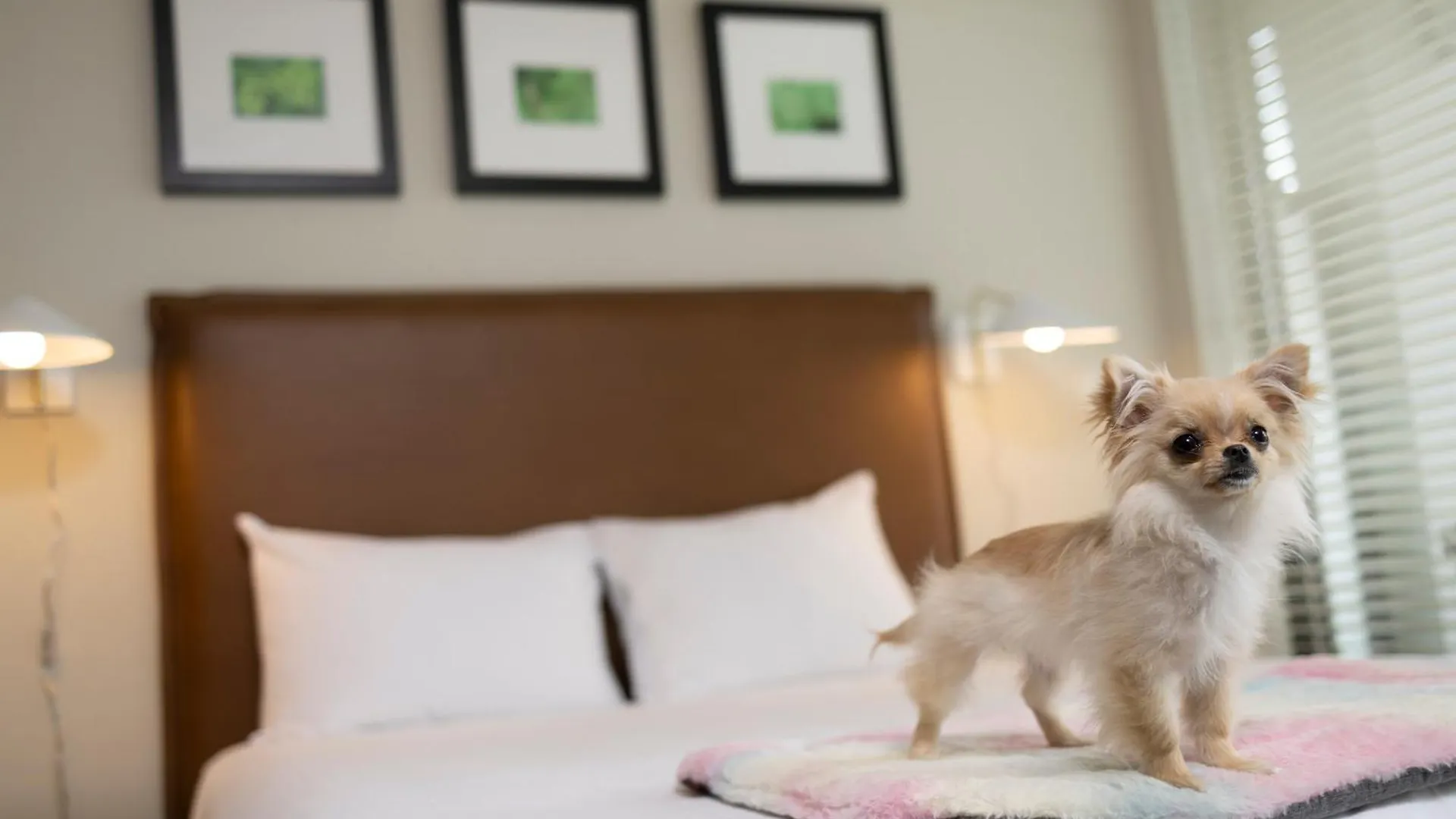 ****  Oswego Hotel Victoria Kanada